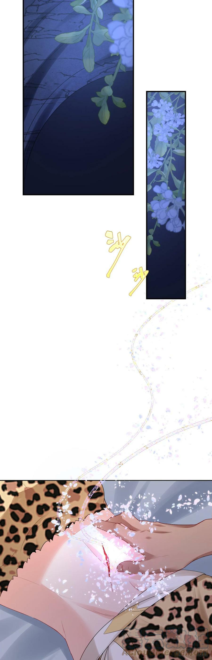 50 芭比比布？20