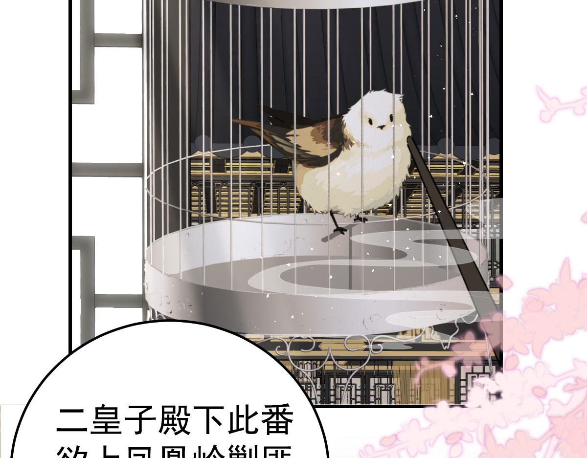 第22话 就和师父假扮夫妻吧48