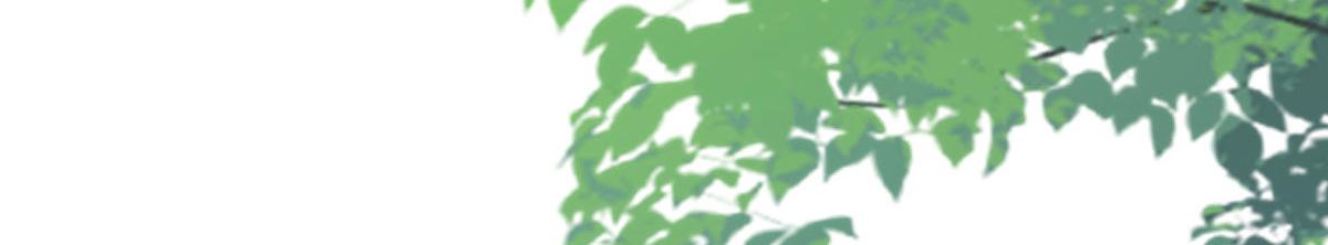 第21话 我会对师父负责到底的83