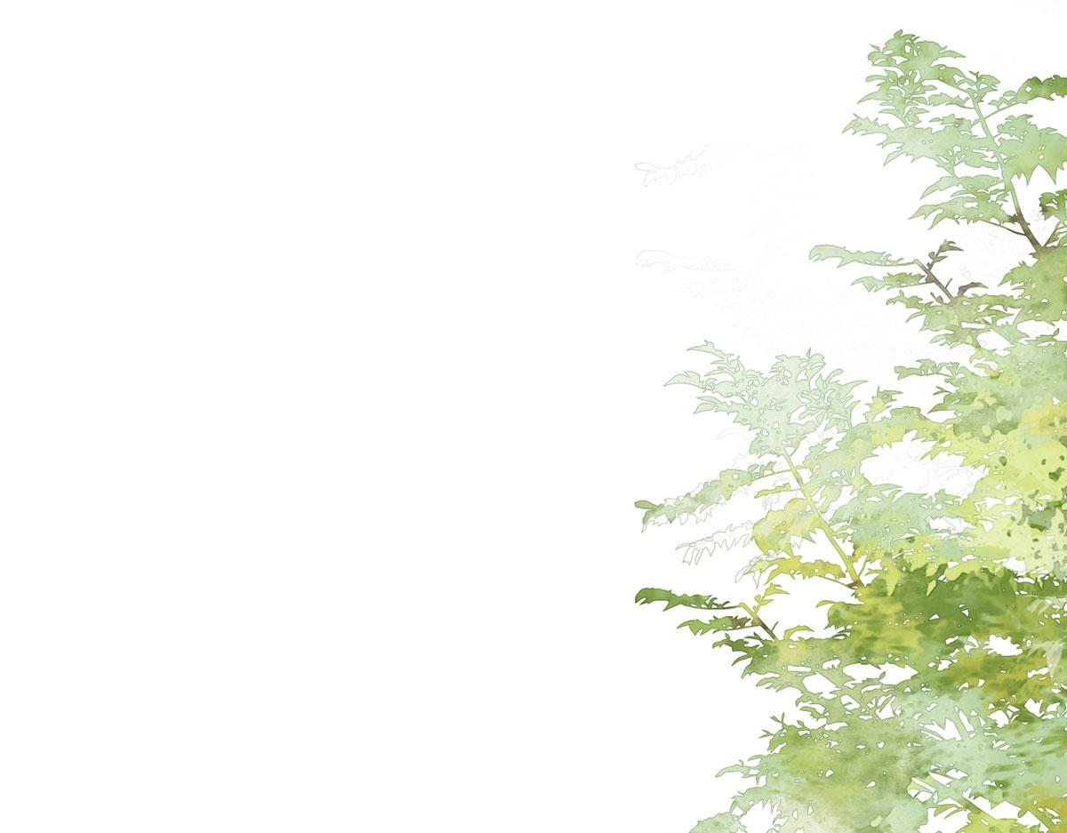 第4话 有师父的香气131