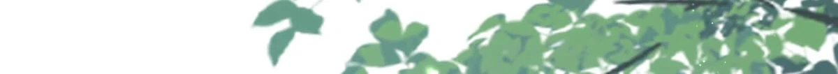 第46话 一定要传达给你95