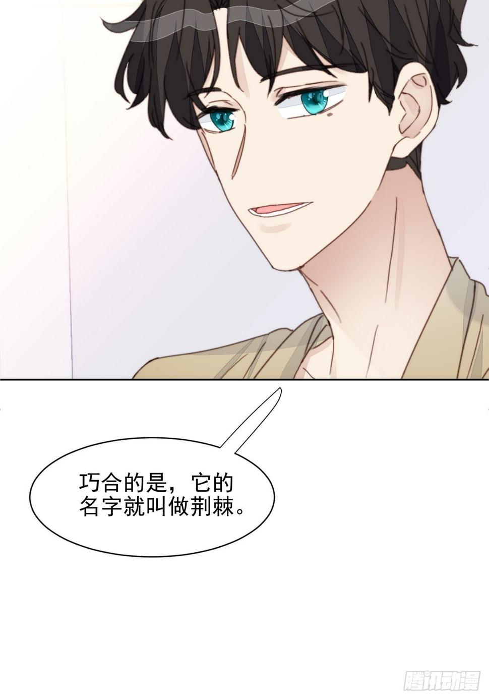 第34话 他的告白4
