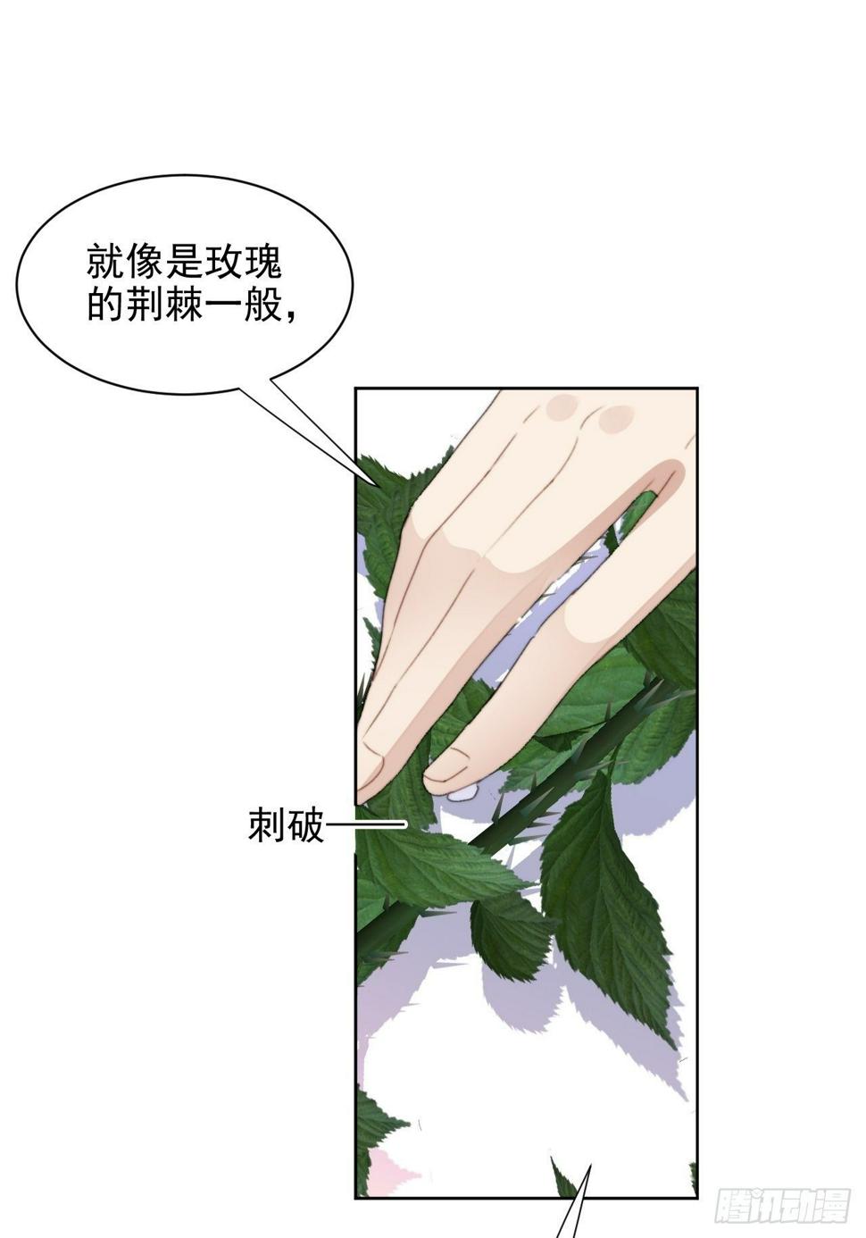 第33话 玫瑰美人32
