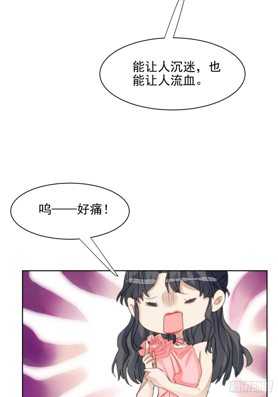 第33话 玫瑰美人33