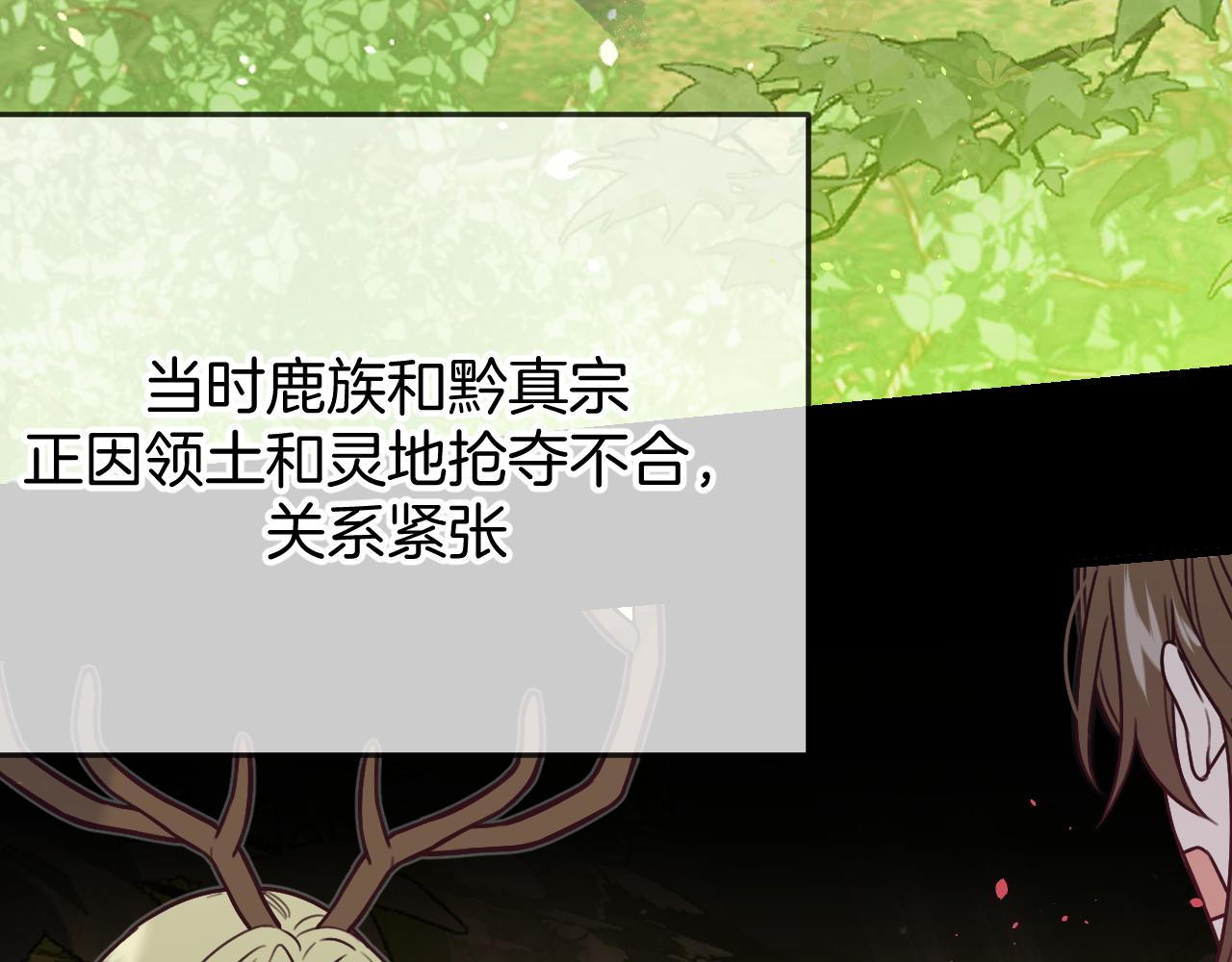 第104话 长老他的过去13