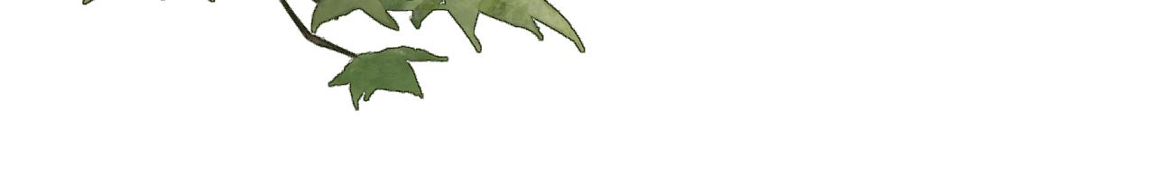 第107话 狼妖他的烦恼103