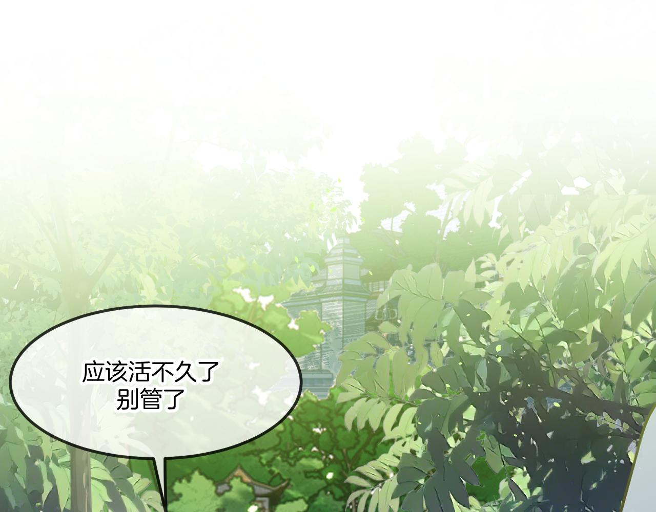 第104话 长老他的过去82
