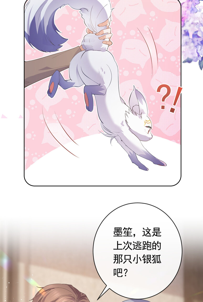 069 银狐又落网19