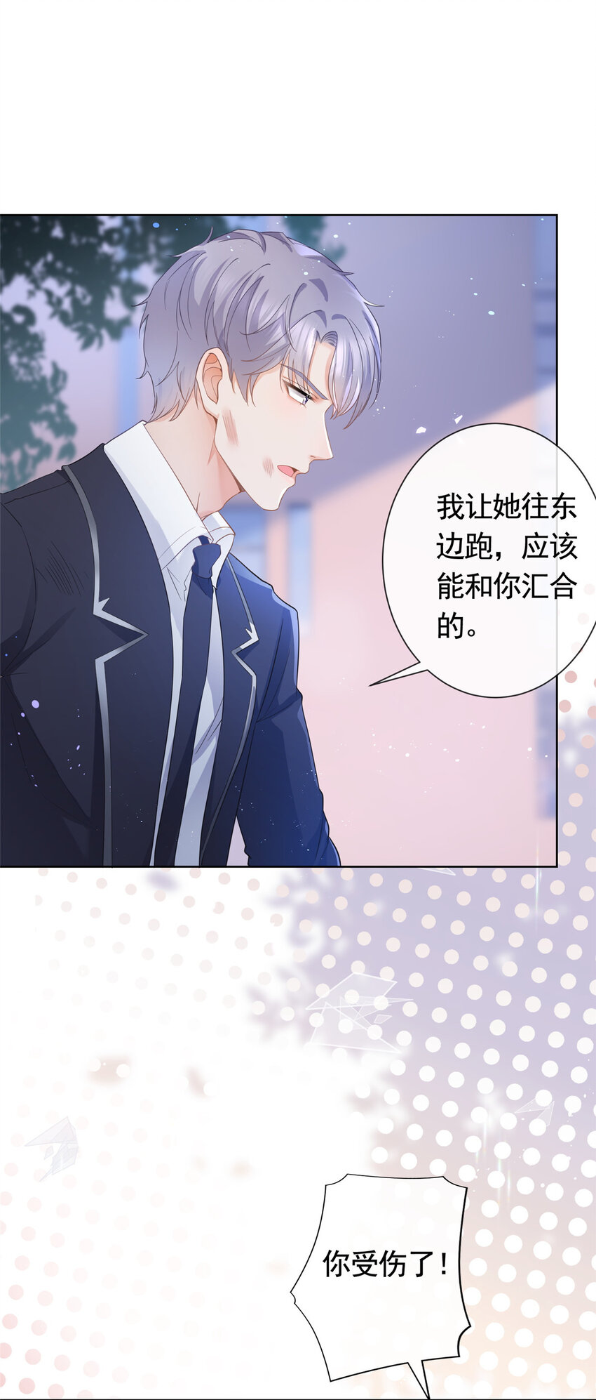 017 隐秘的帮手18