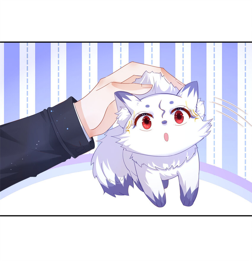 001 被小三打败的狐狸精22