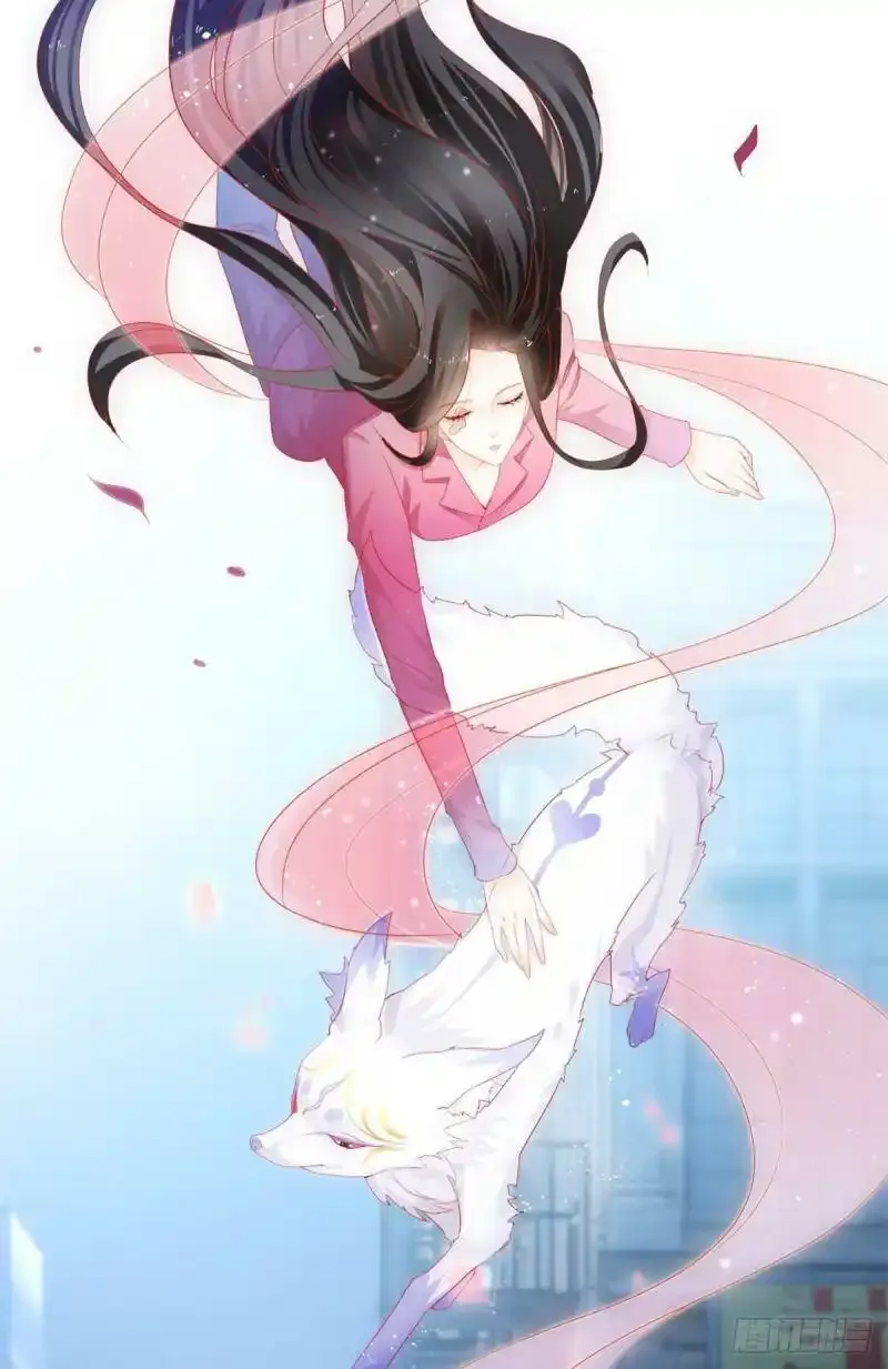 预告8