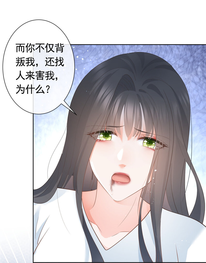 045白相叶3