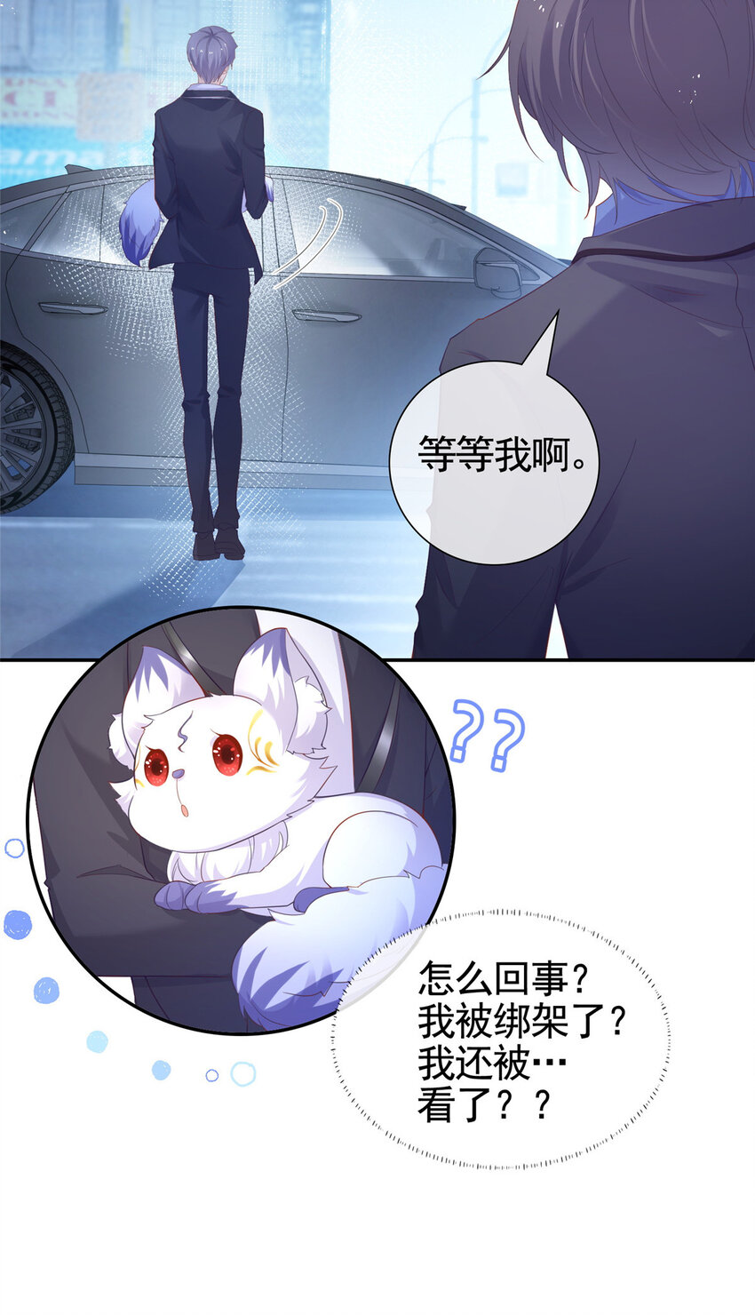 001 被小三打败的狐狸精30