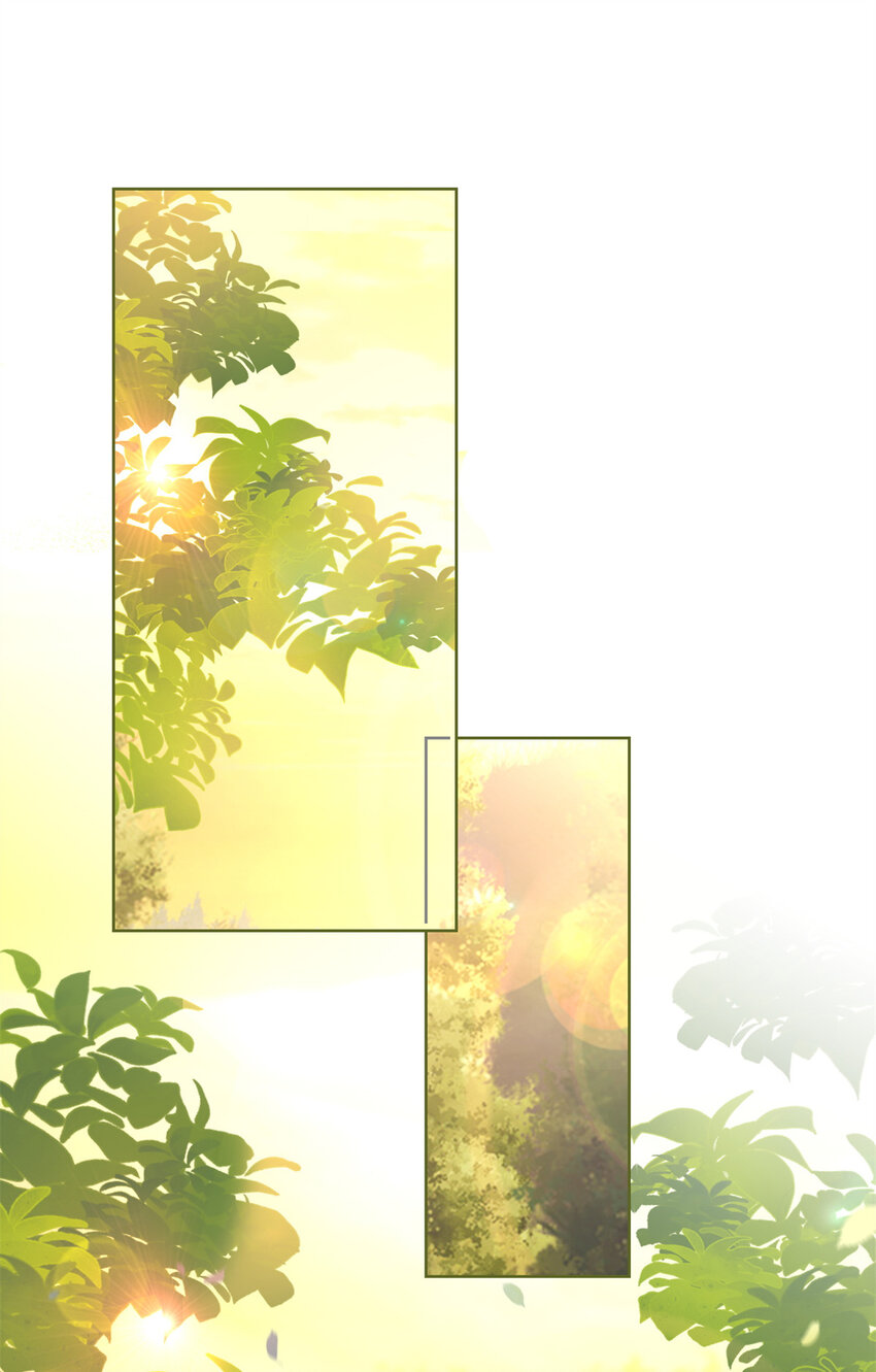 025 竞争者菲娅2