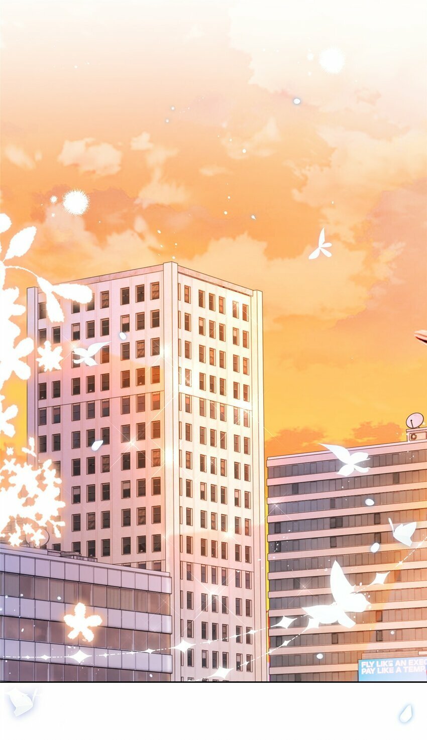 113 劝离26
