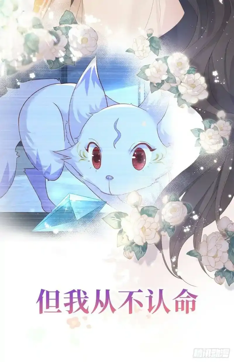 预告11