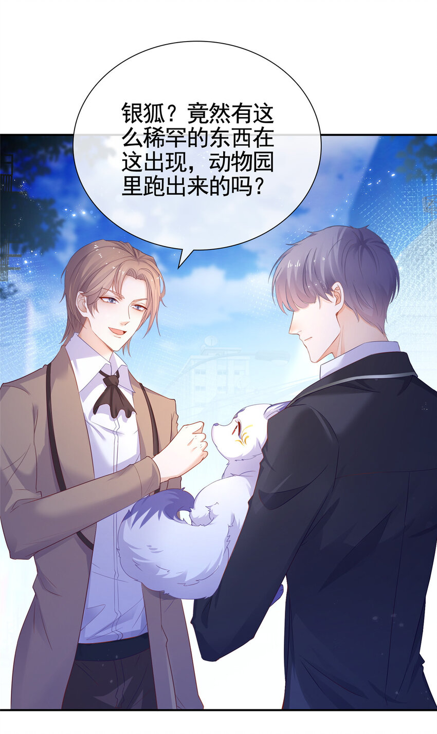 001 被小三打败的狐狸精25