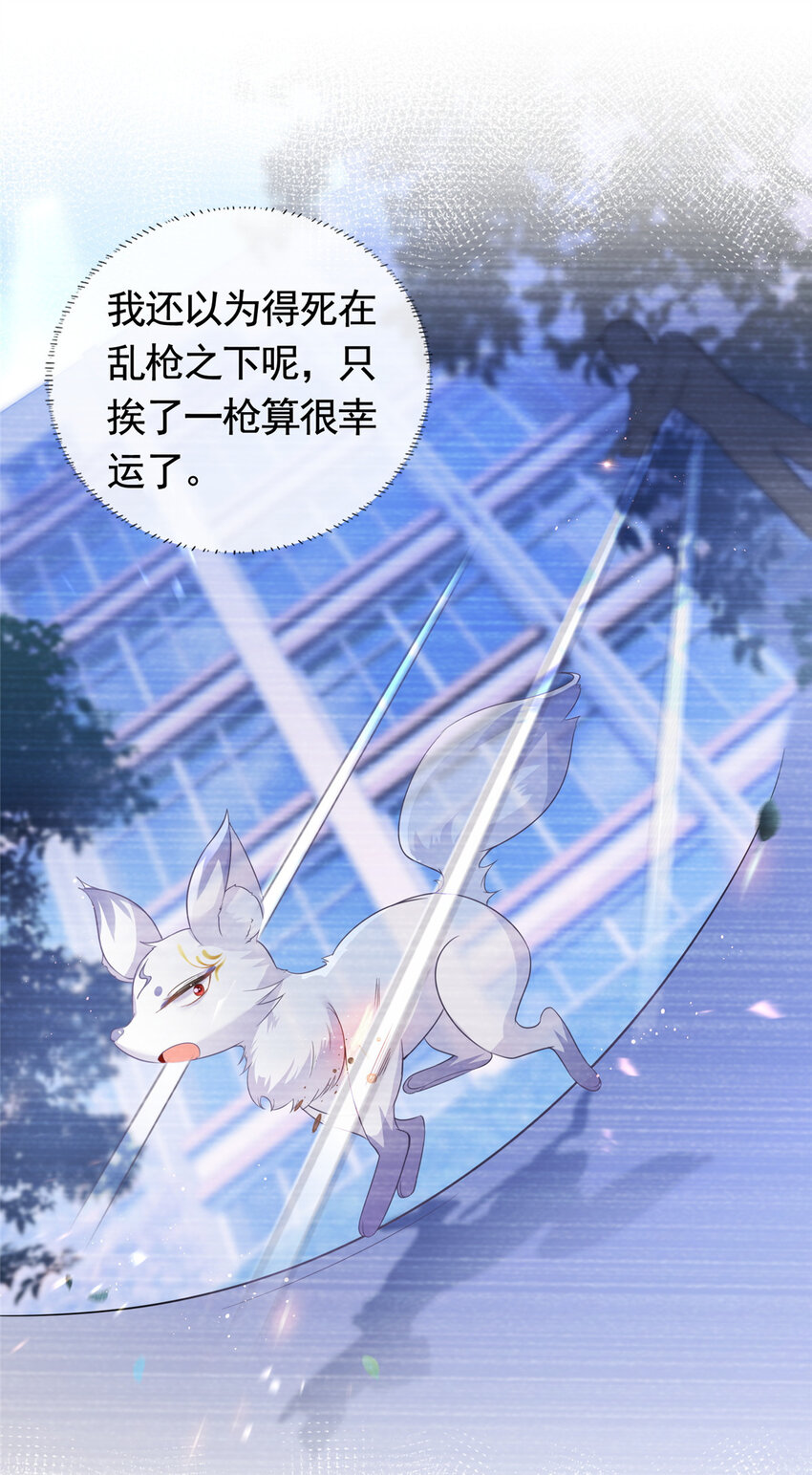 017 隐秘的帮手32