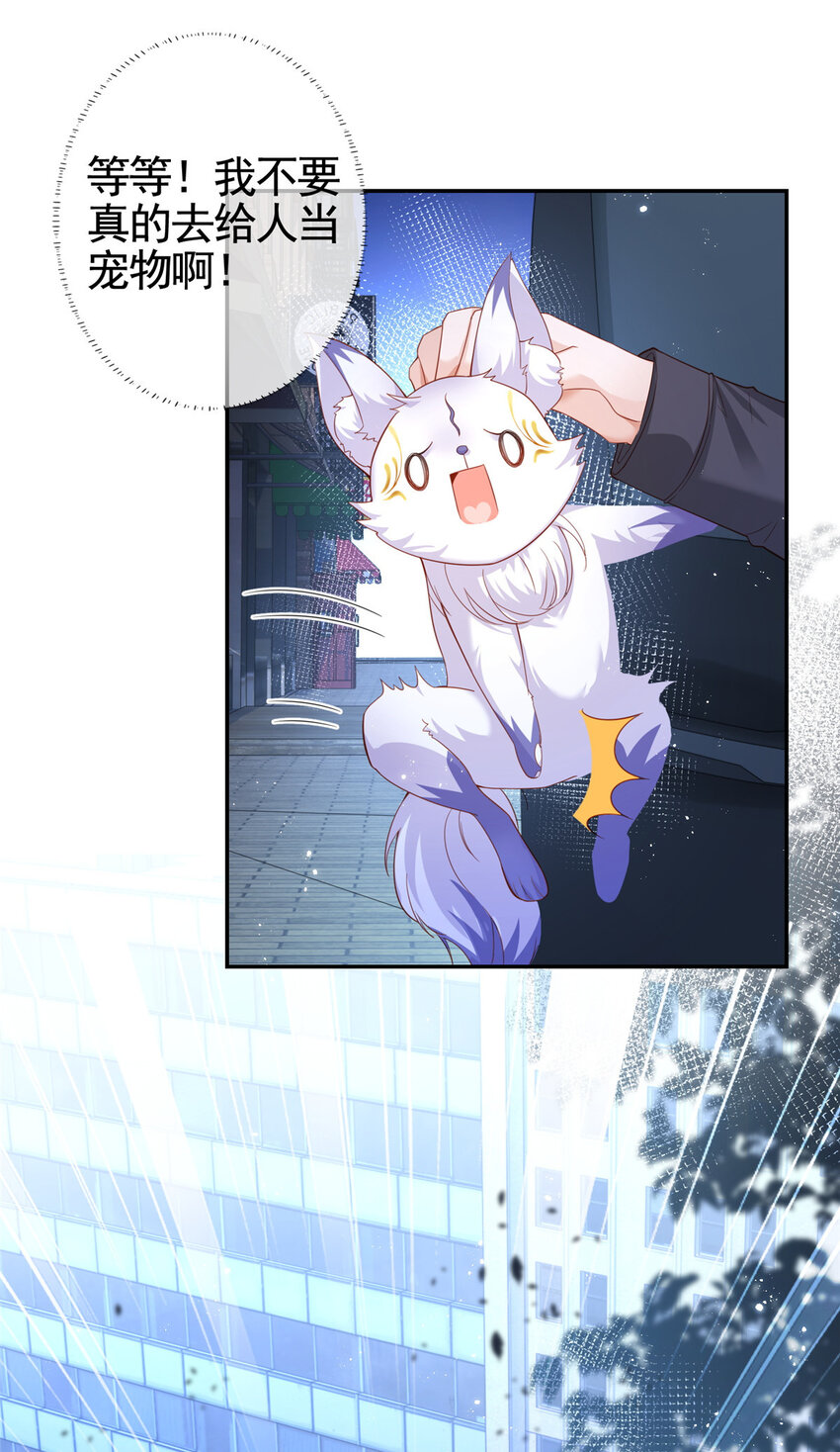 001 被小三打败的狐狸精31
