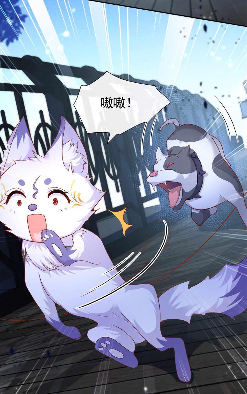 预告 预告3