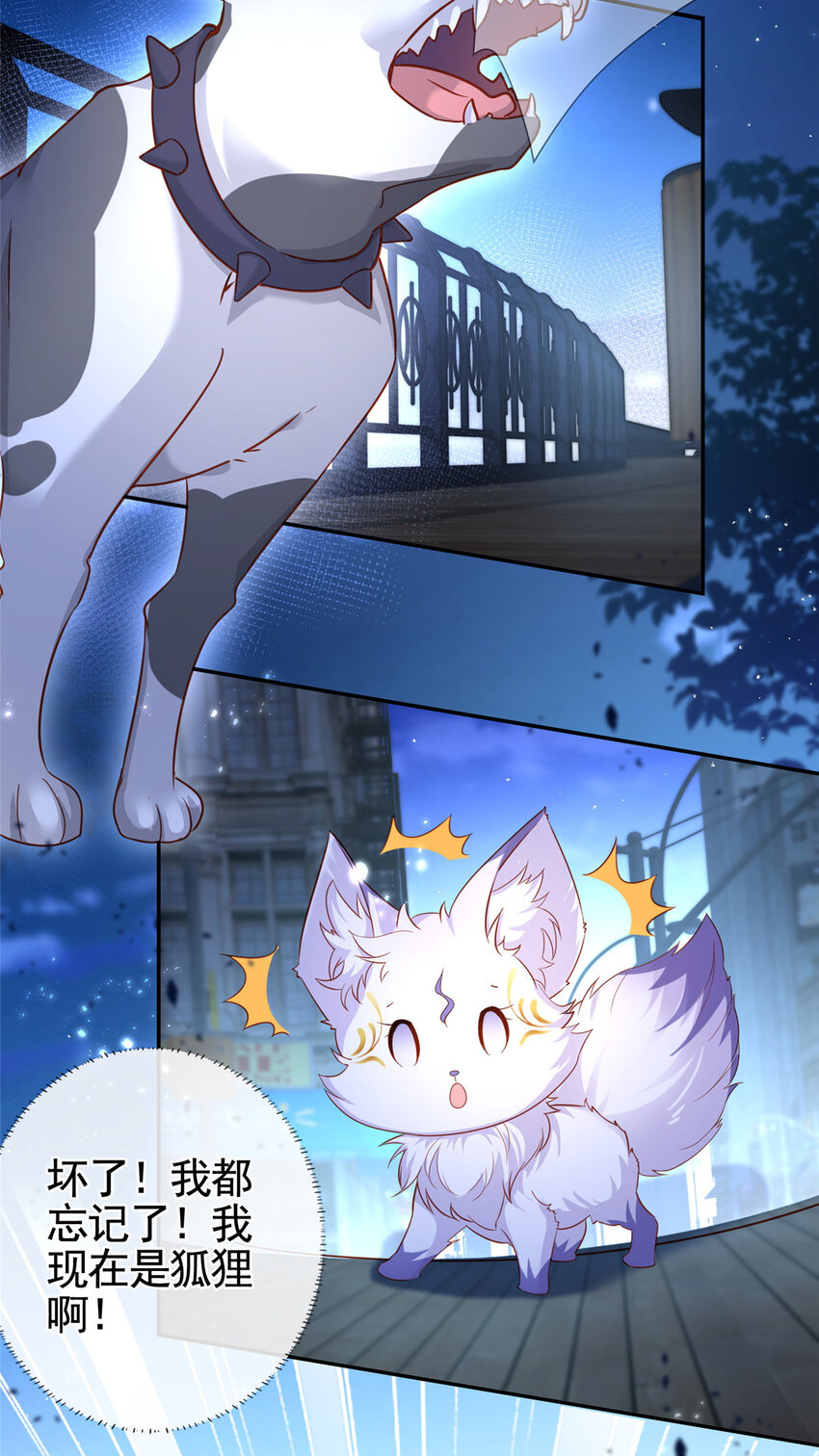 001 被小三打败的狐狸精20