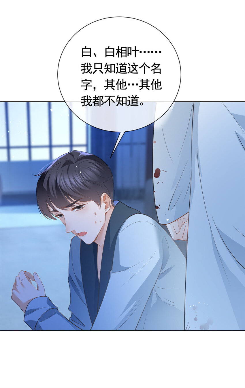 045白相叶9