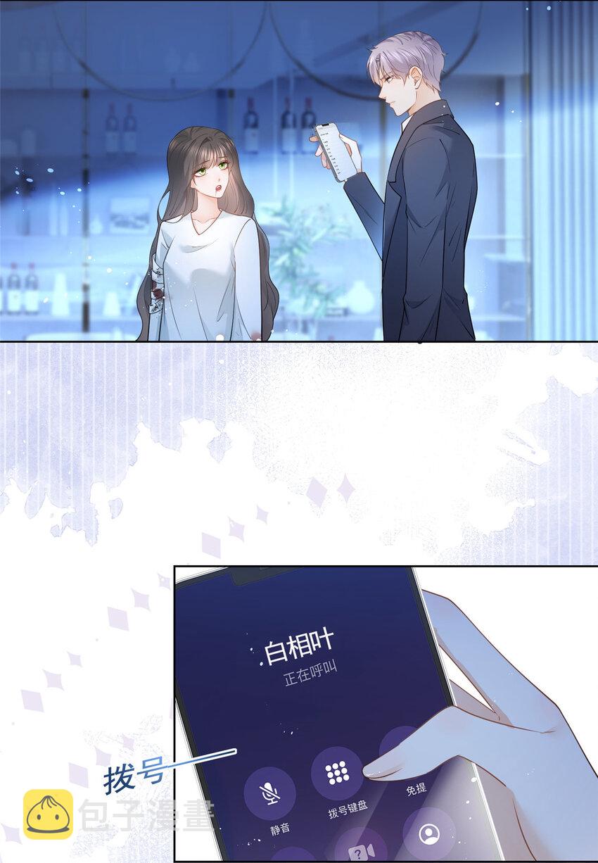 045白相叶15