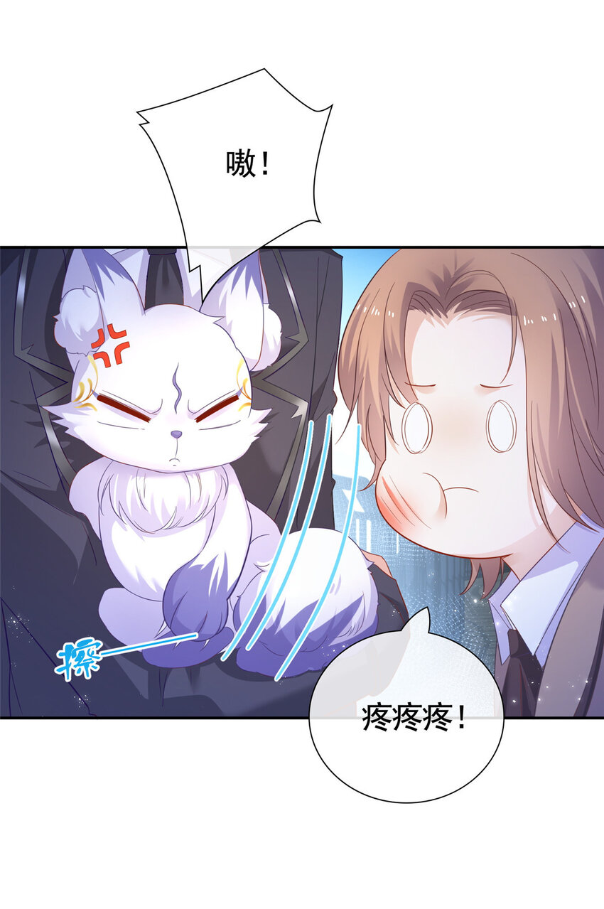 001 被小三打败的狐狸精27