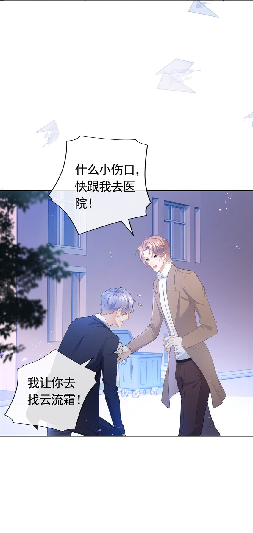 017 隐秘的帮手20