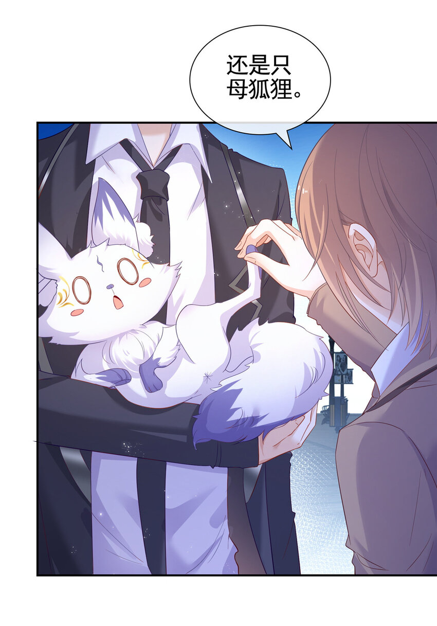 001 被小三打败的狐狸精26