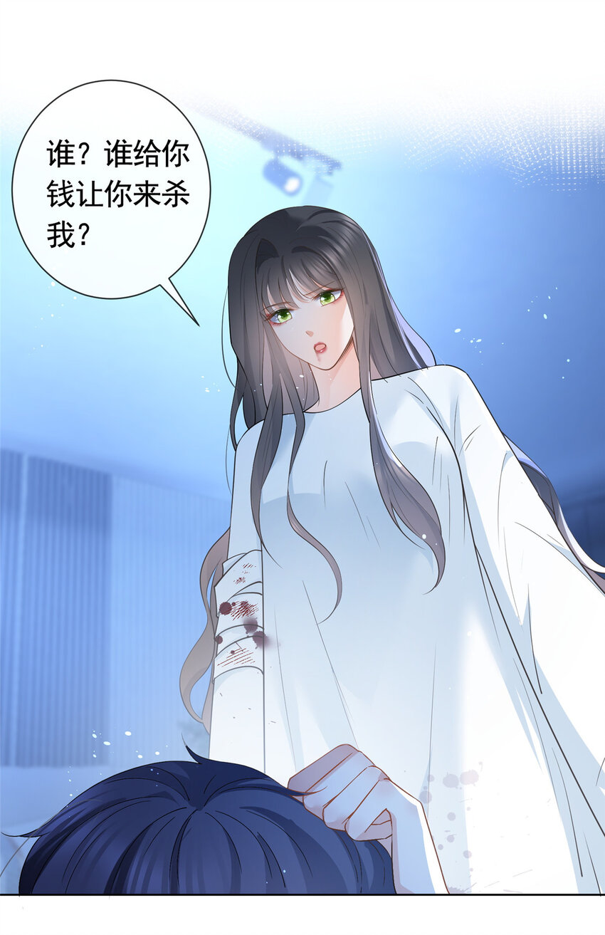 045白相叶8