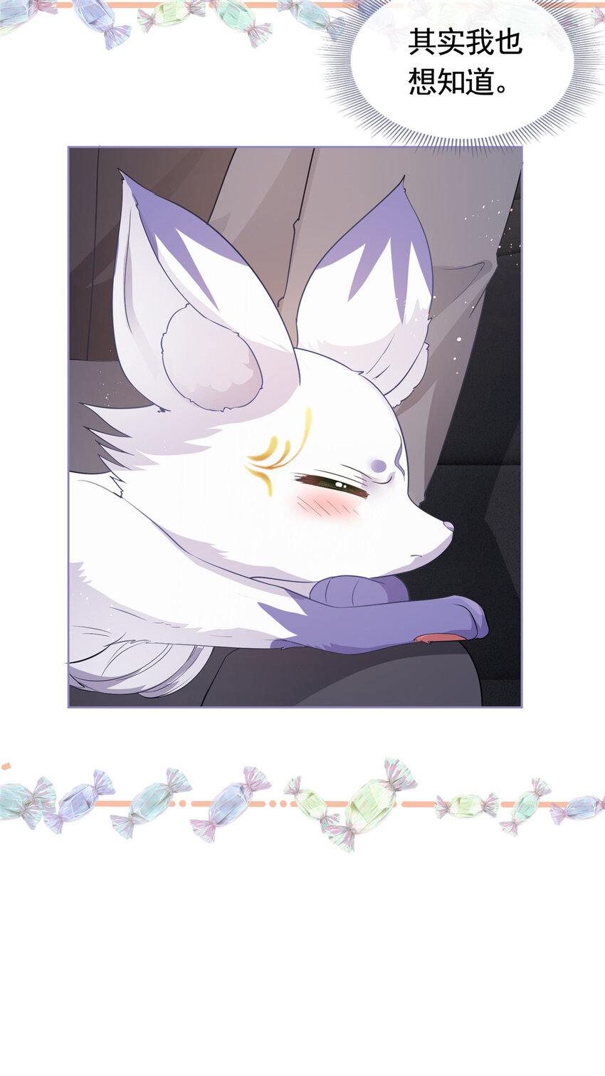 069 银狐又落网32