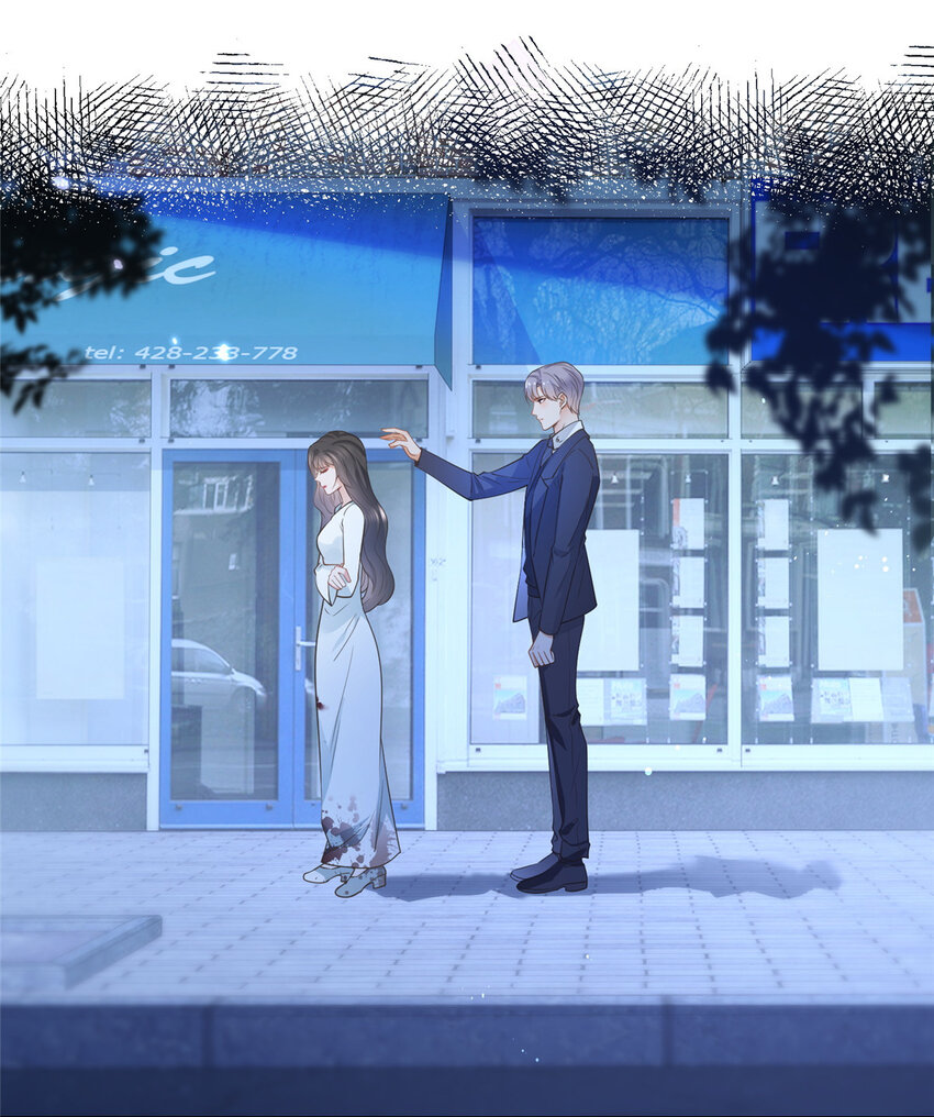 045白相叶23