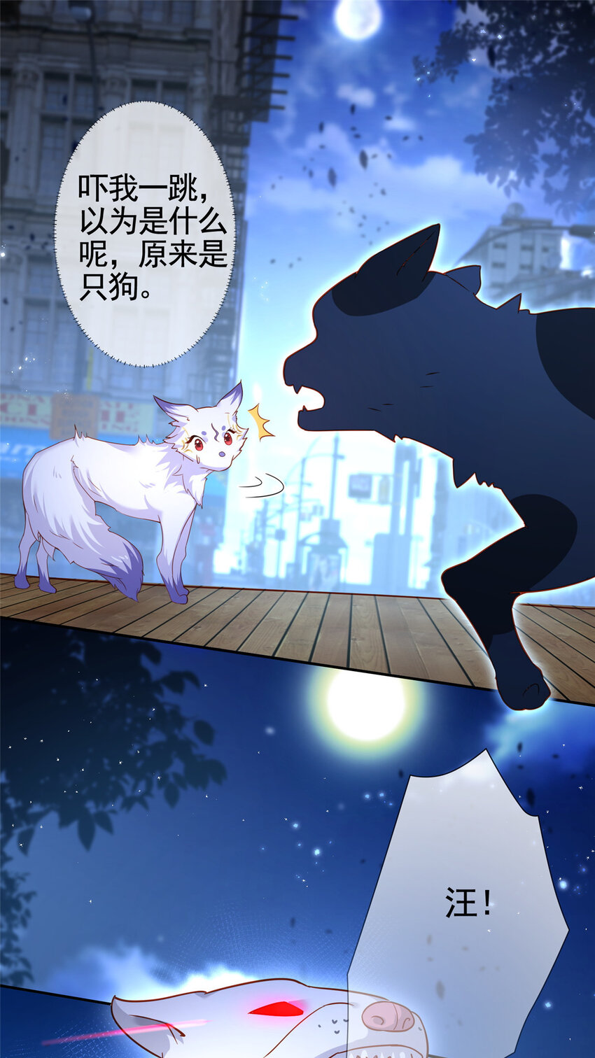 001 被小三打败的狐狸精19