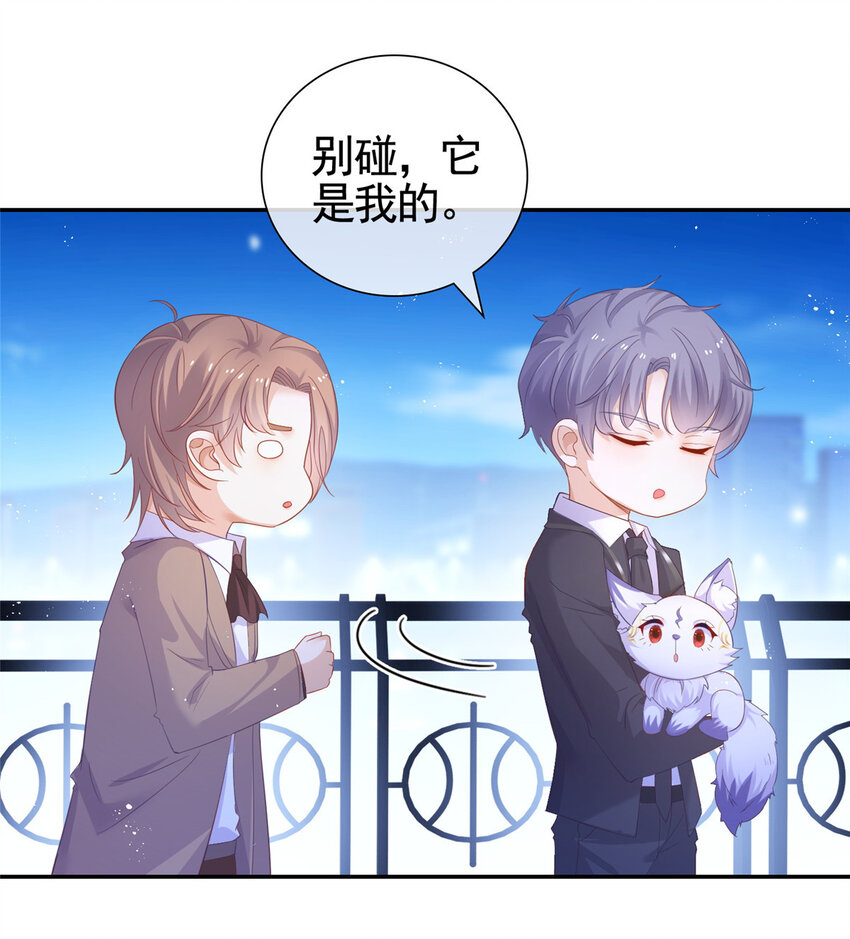 001 被小三打败的狐狸精28