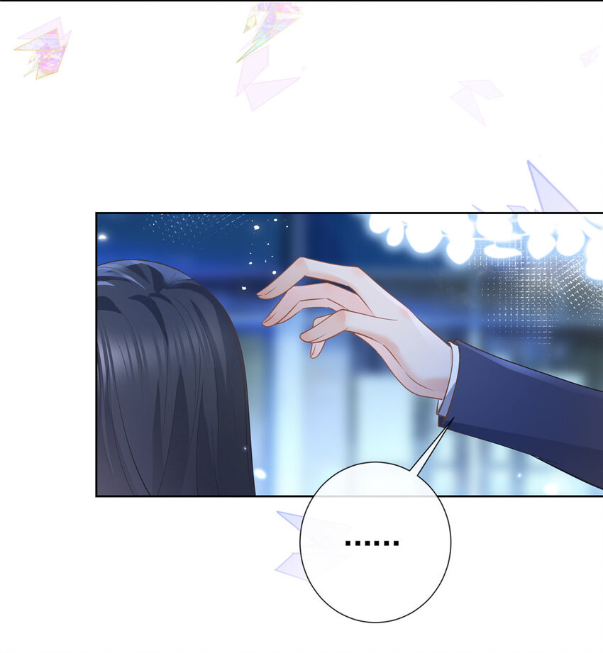 045白相叶24