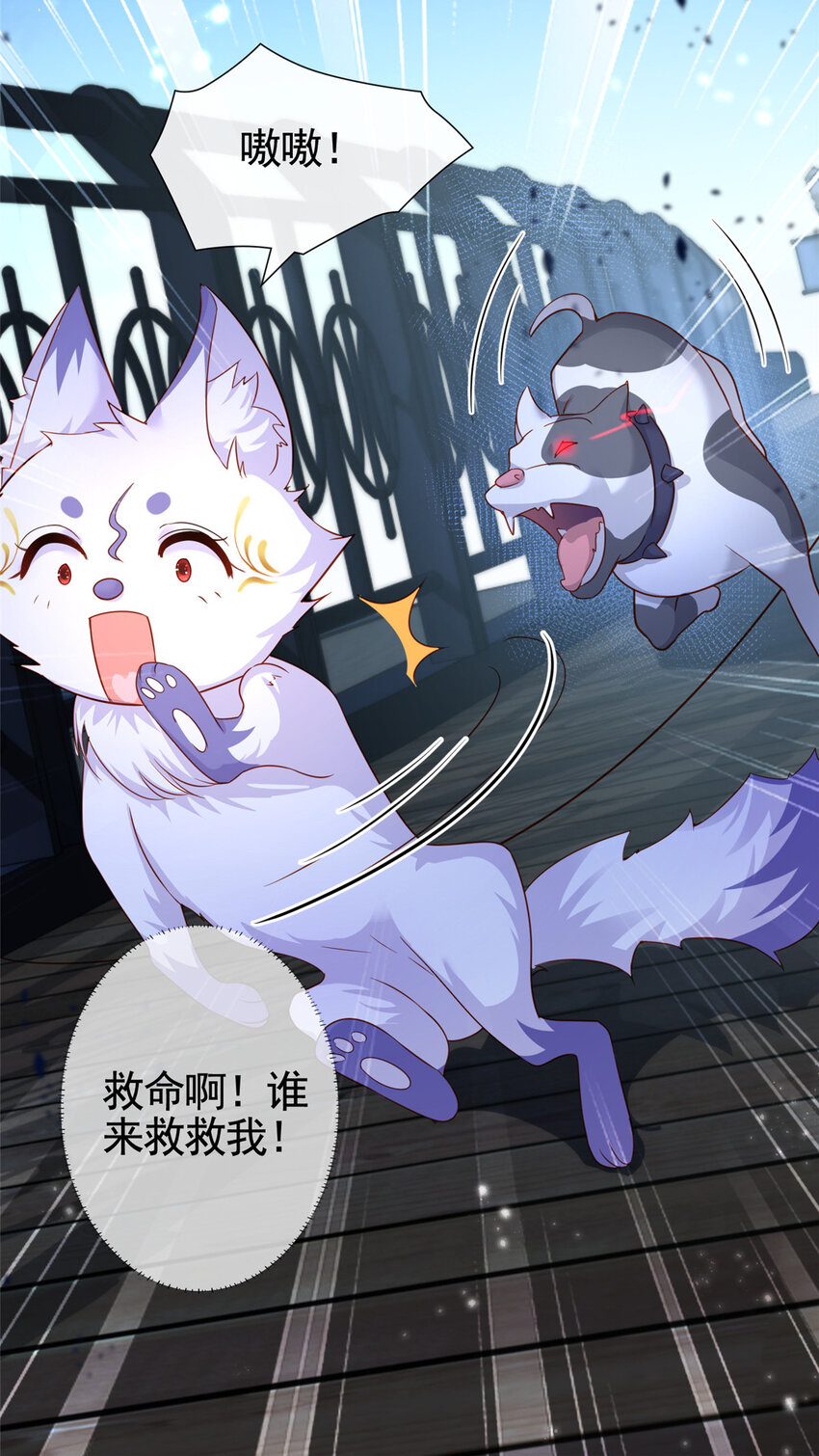 001 被小三打败的狐狸精21