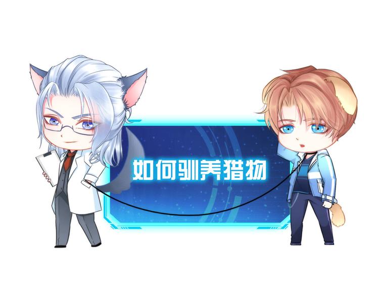 第八话：驯养猎物0