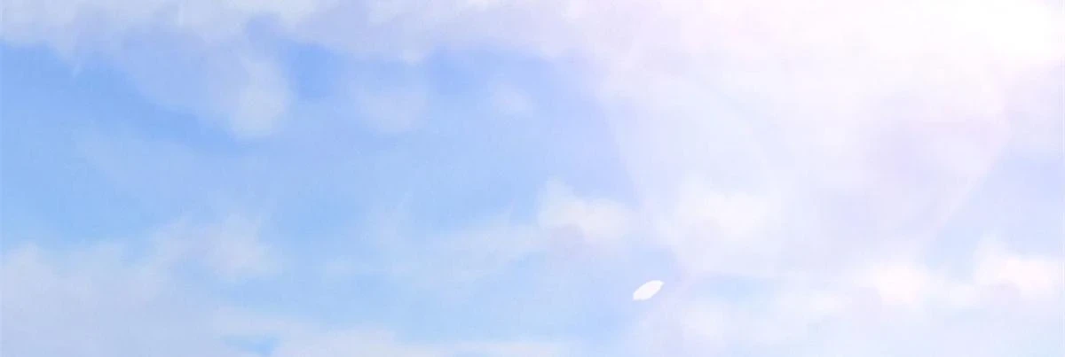 96 送上门的大生意31