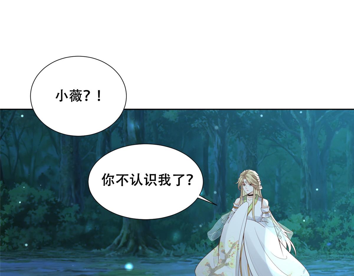 70 凤薇：终究是错付了6