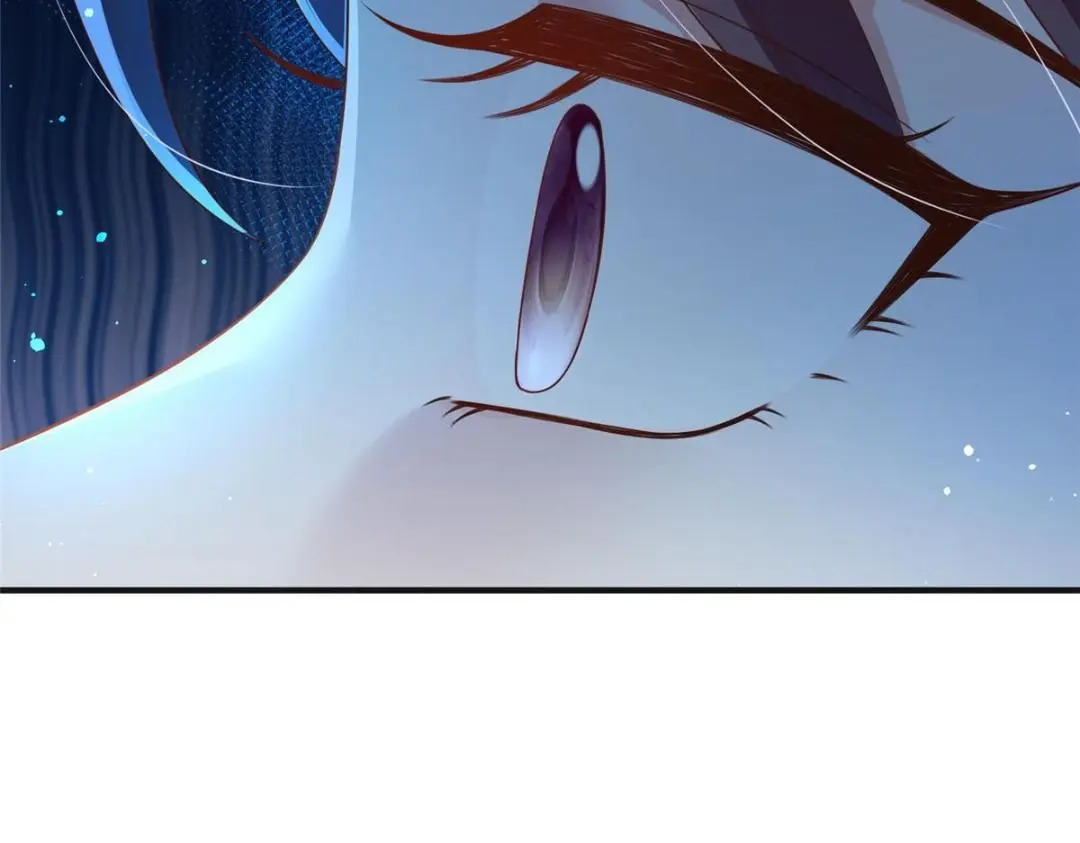 8068