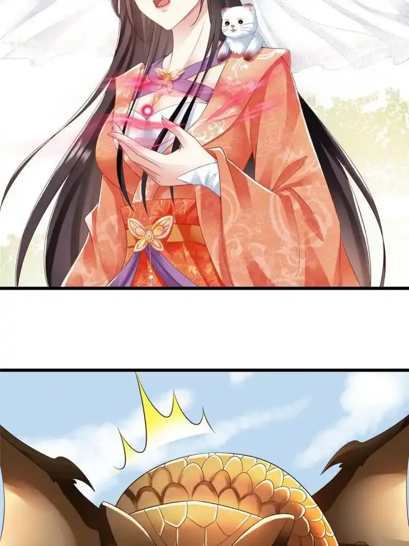 4246