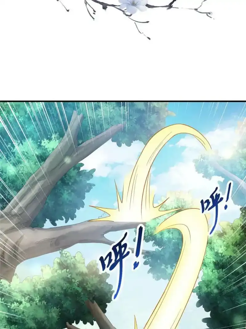 2611