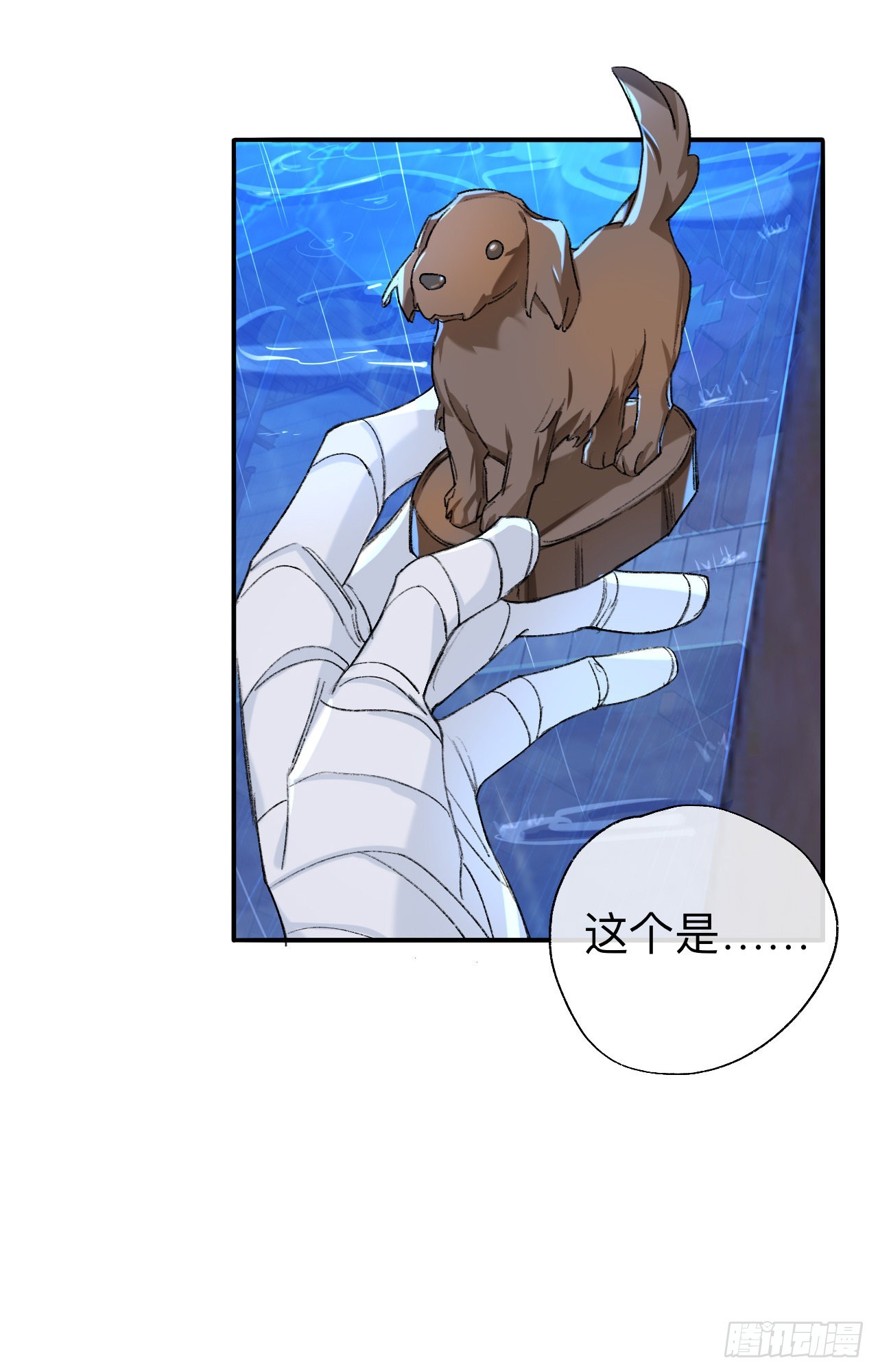 小北给我带的礼物，现在能拆开吗18