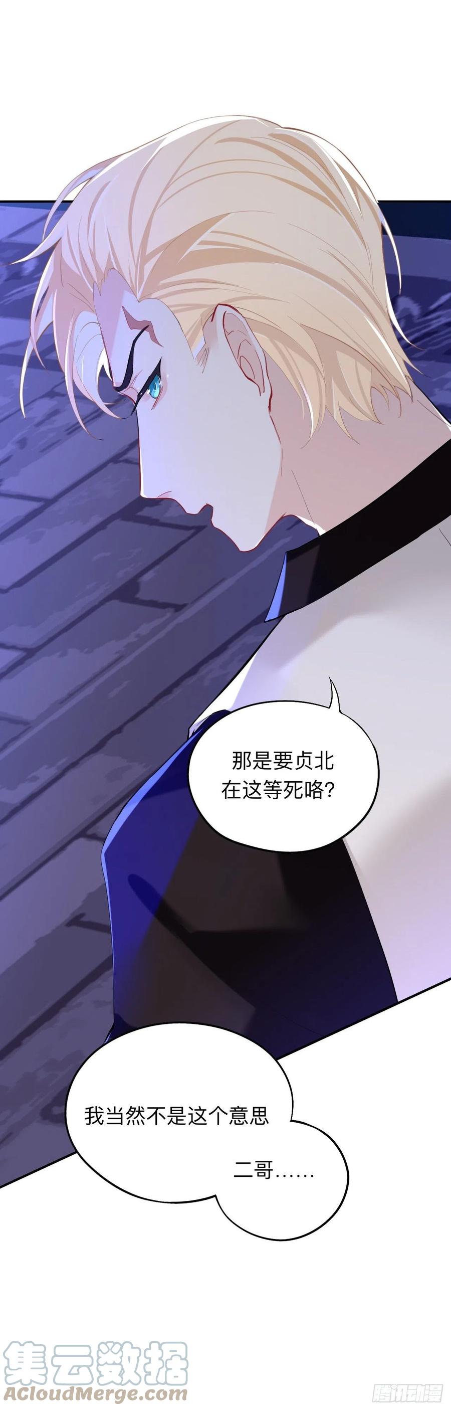 新的客人26