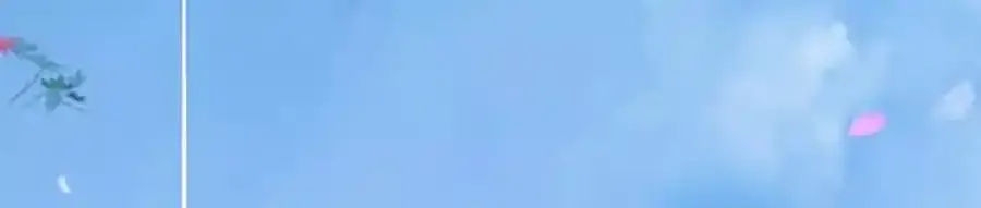 这一巴掌和当年一样58