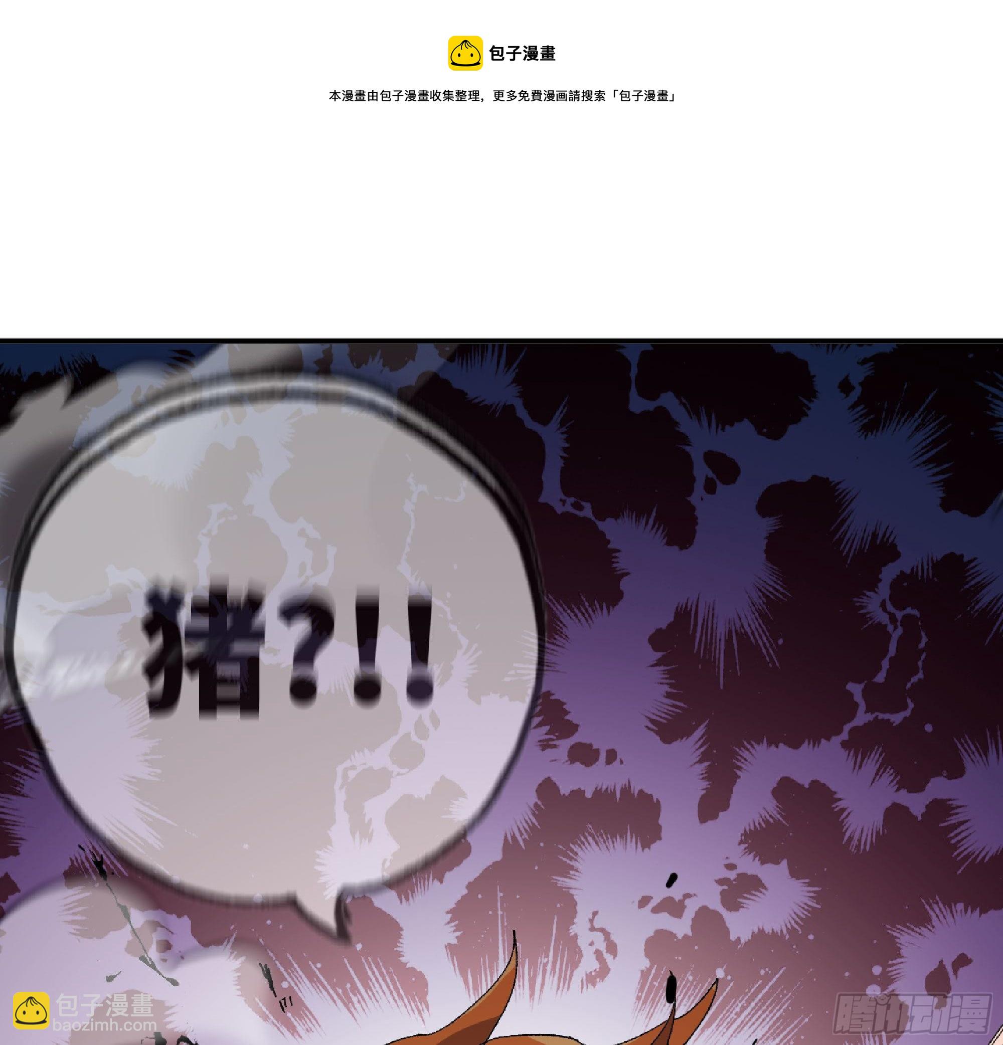 46- 狂暴猪猪56