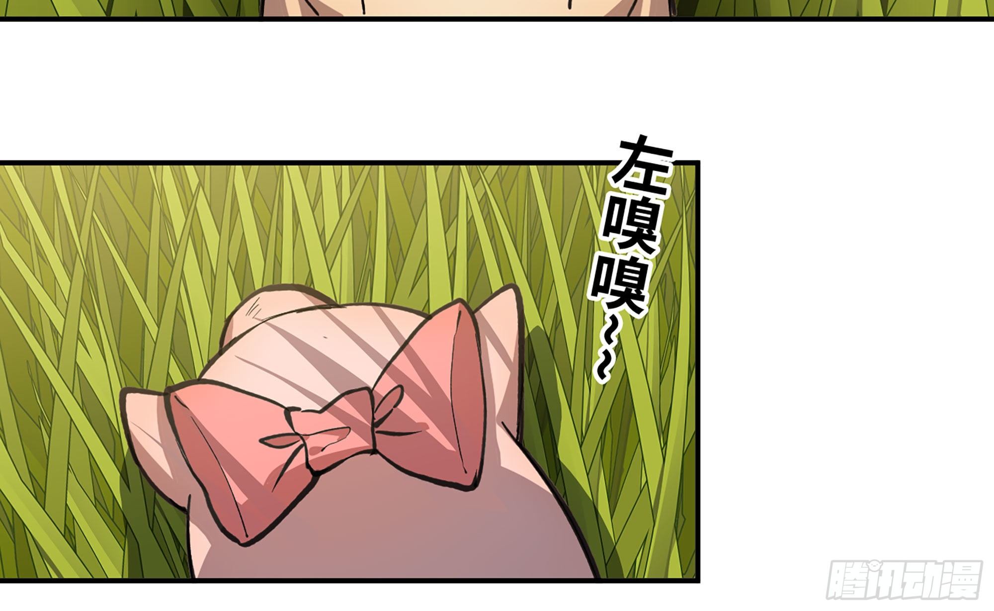 12- 野外2