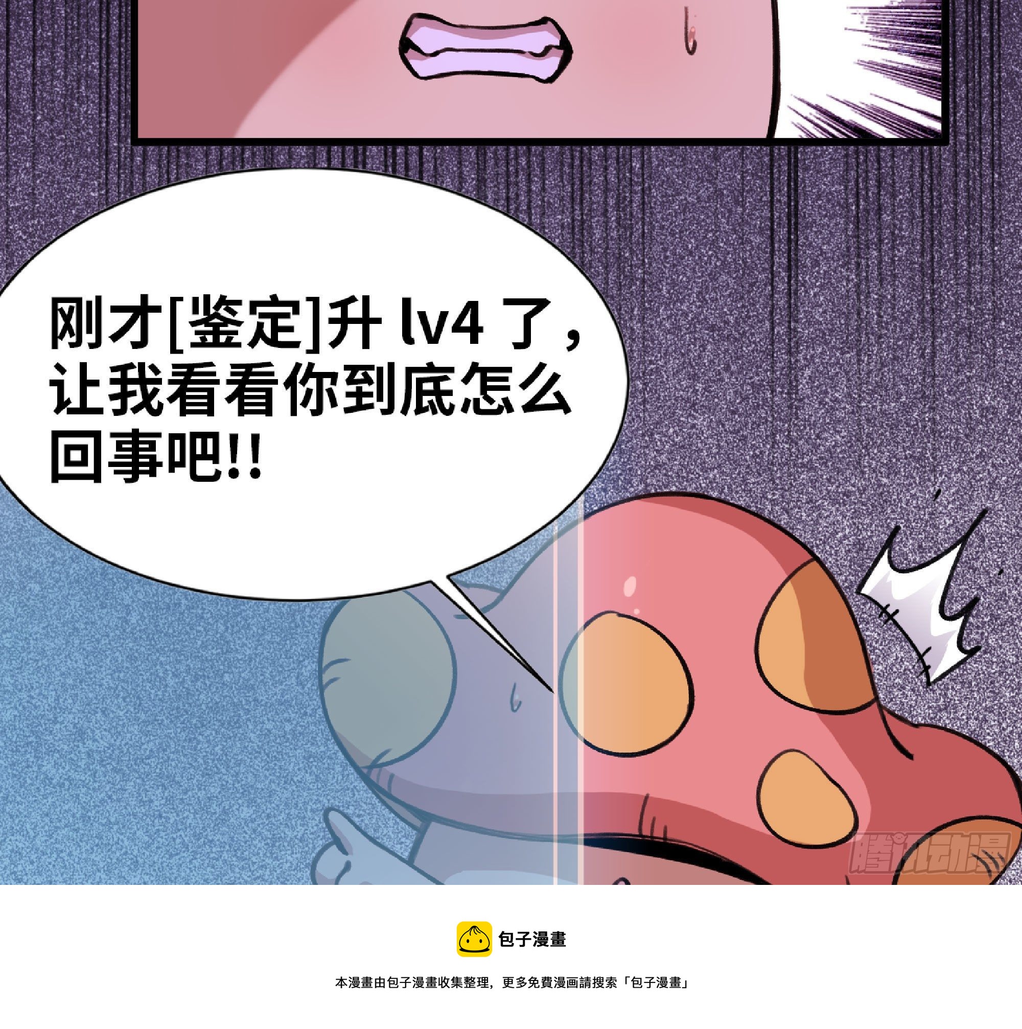 46- 狂暴猪猪84