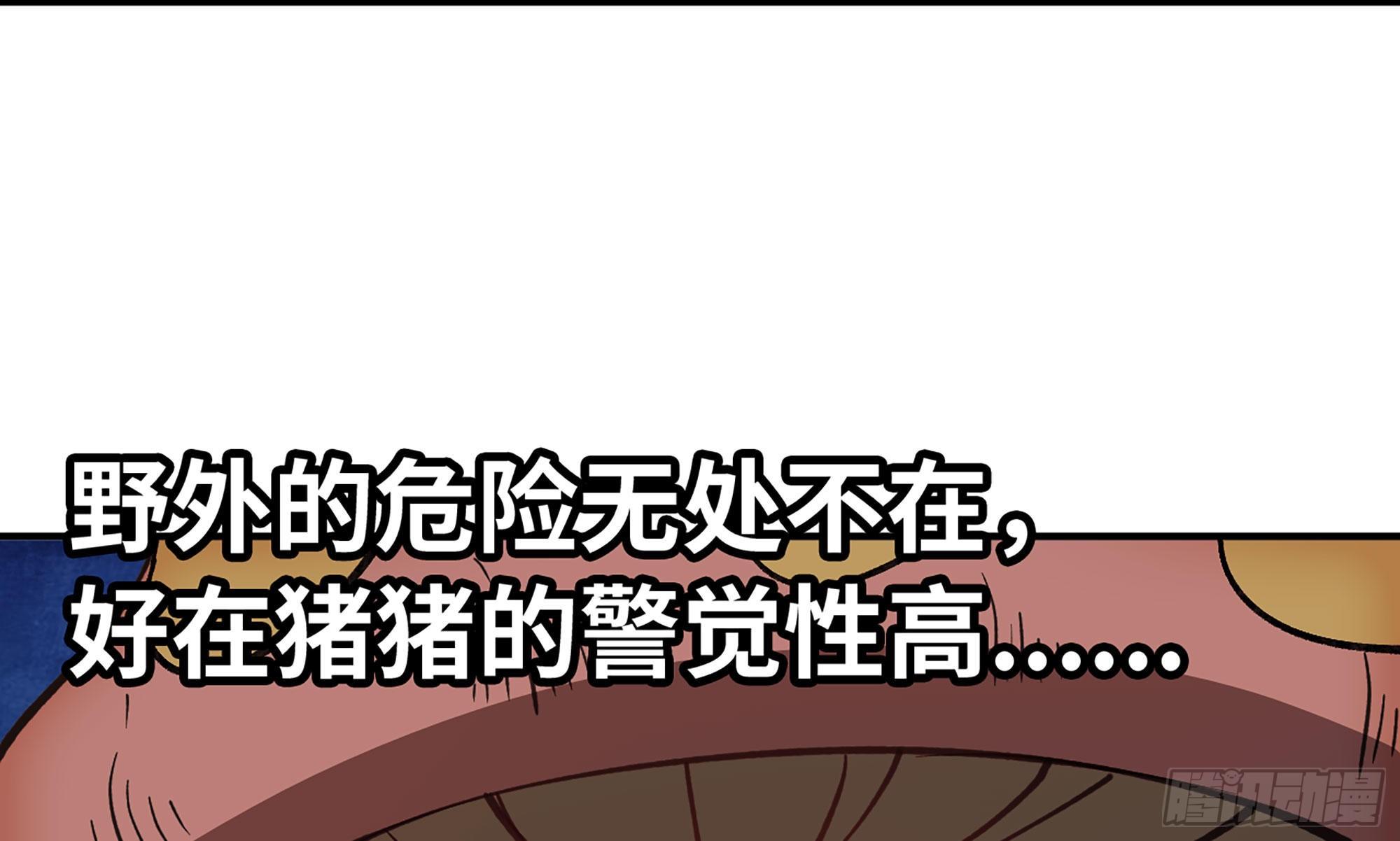 12- 野外35
